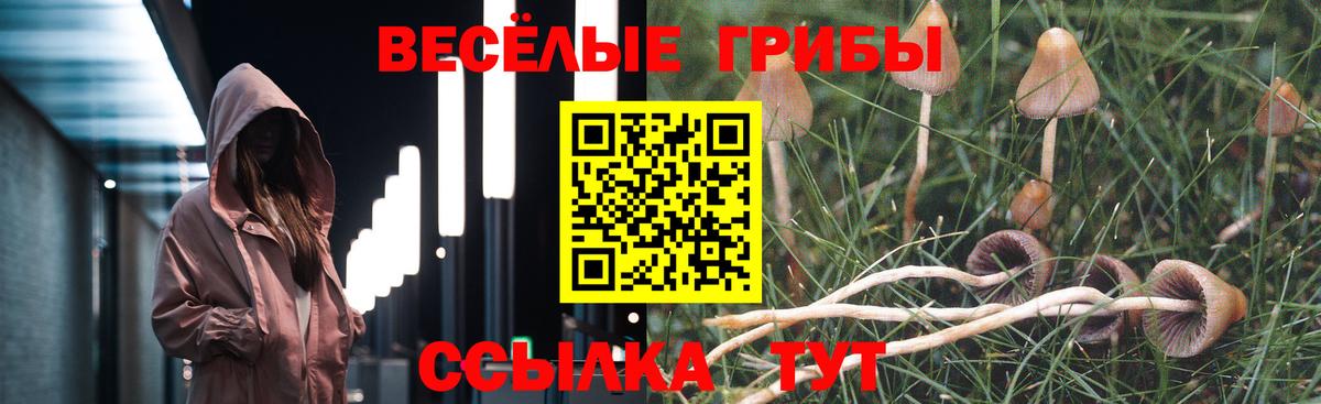 Шадринск  Псилоцибиновые грибы Psilocybine cubensis  даркнет сайт  Вход с VPN 