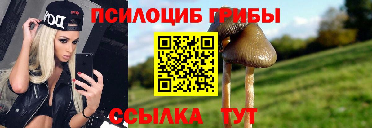 Псилоцибиновые грибы прущие грибы Шадринск